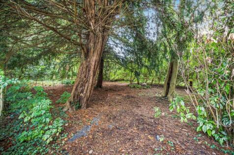 Property Image 26