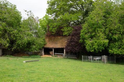 Property Image 22
