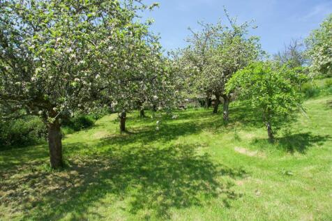 Property Image 27