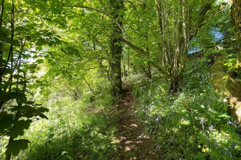 Property Image 39