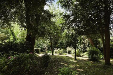 Property Image 41