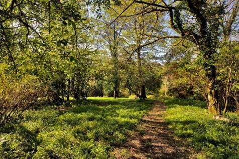 Property Image 37