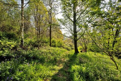 Property Image 39