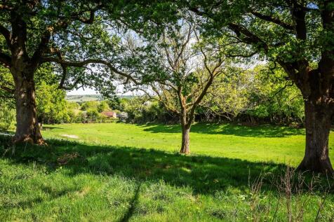 Property Image 50