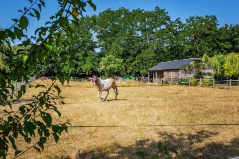 Property Image 39