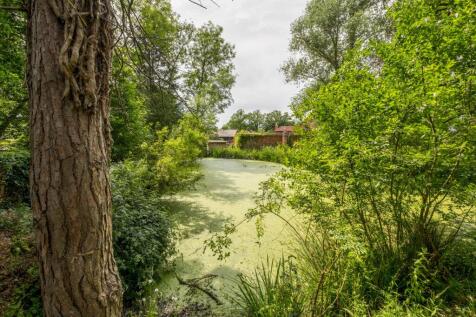 Property Image 33