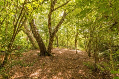 Property Image 27