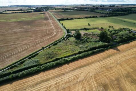 dji_fly_20230826_095228_25_1693040262487_photo.JPG