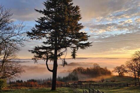 Early morning View