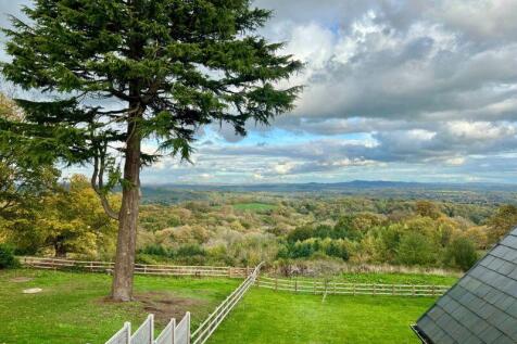 Garden/ views