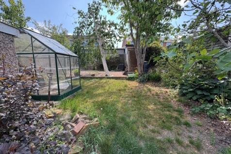 Back garden
