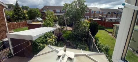 Back Garden