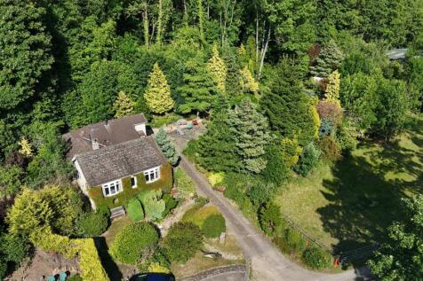 DJI_20250618170939_0800_D.JPG
