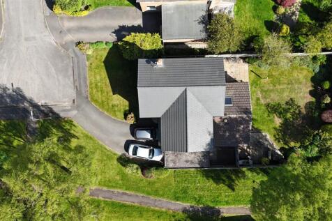 DJI_20250430101451_0644_D.JPG
