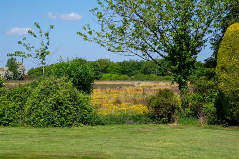 DSC_9592.jpg
