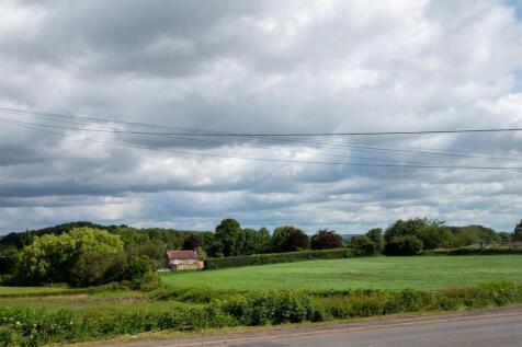 DSC_6567.jpg