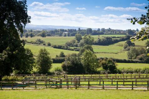 Paddocks/View