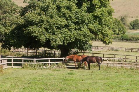 Paddocks