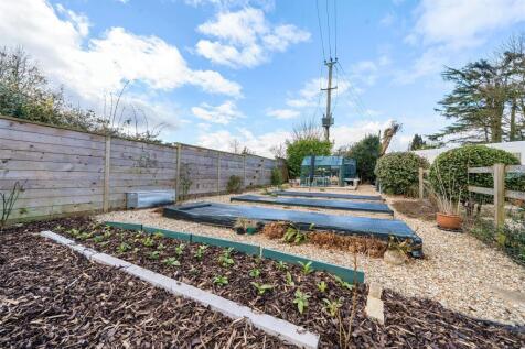 Vegetable Patch