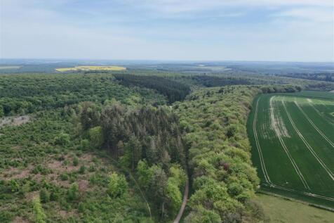 DJI_20250501123458_0040_D.JPG