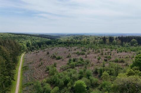 DJI_20250501123048_0037_D.JPG