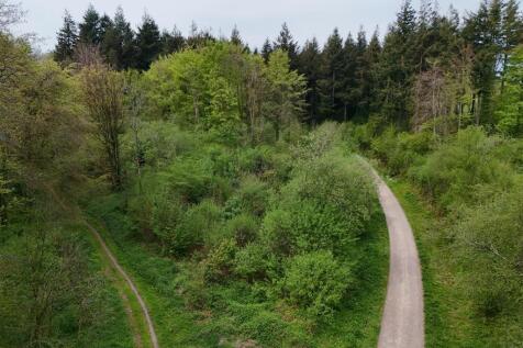 DJI_20250501123910_0045_D.JPG