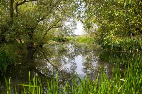 Natural Pond with Island