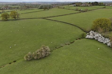 DJI_20250414152602_0075_D.JPG