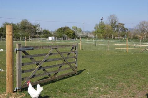 Paddock