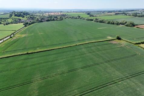 Lot 1 (235)