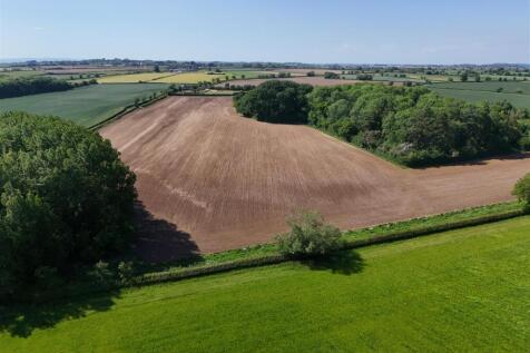 Lot 2 (238)