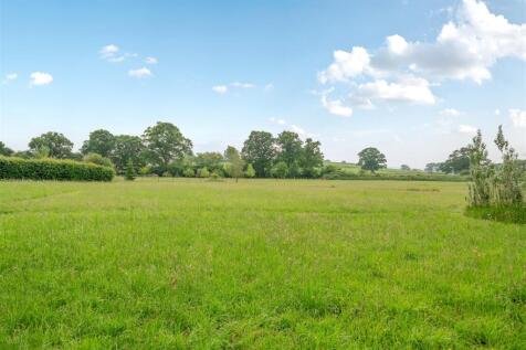 Wild Garden / Paddock