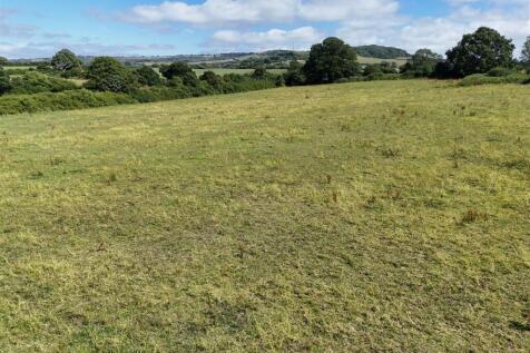 Lot A 313