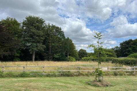 Site