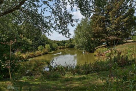 Pond