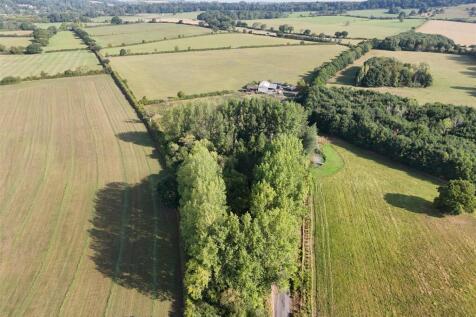 DJI_20250812090228_0045_D.JPG