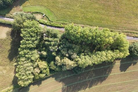DJI_20250812090352_0046_D.JPG
