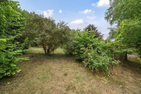 Orchard