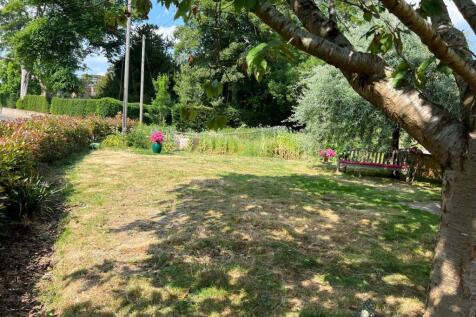 new garden.jpg