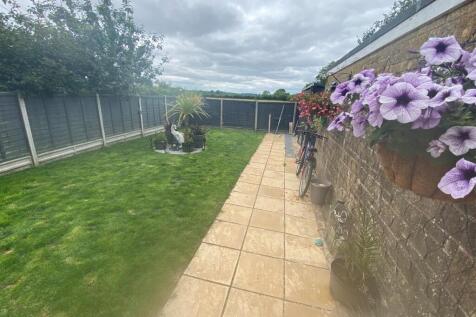garden 2.jpg