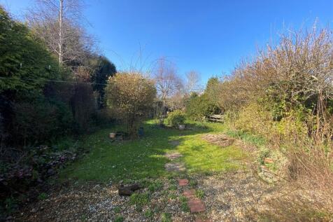 New garden.jpg