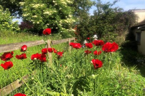 garden best 1.jpg