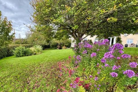 garden.jpg