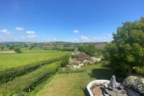 View.jpg