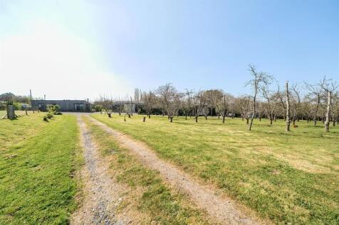 Orchard