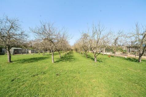 Orchard