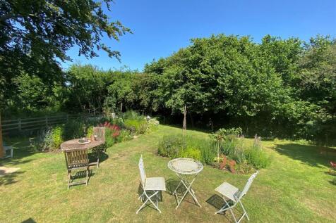 garden 3.jpg