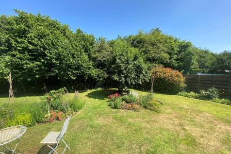 garden 4.jpg