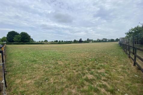 field.jpg