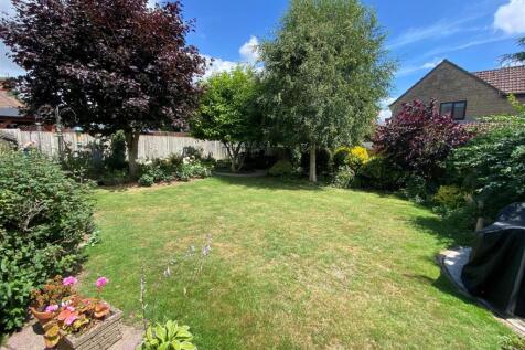 garden.jpg